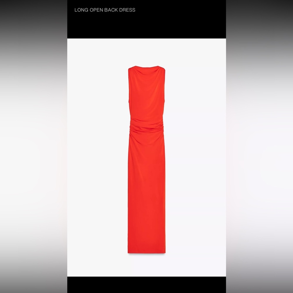 Zara dress